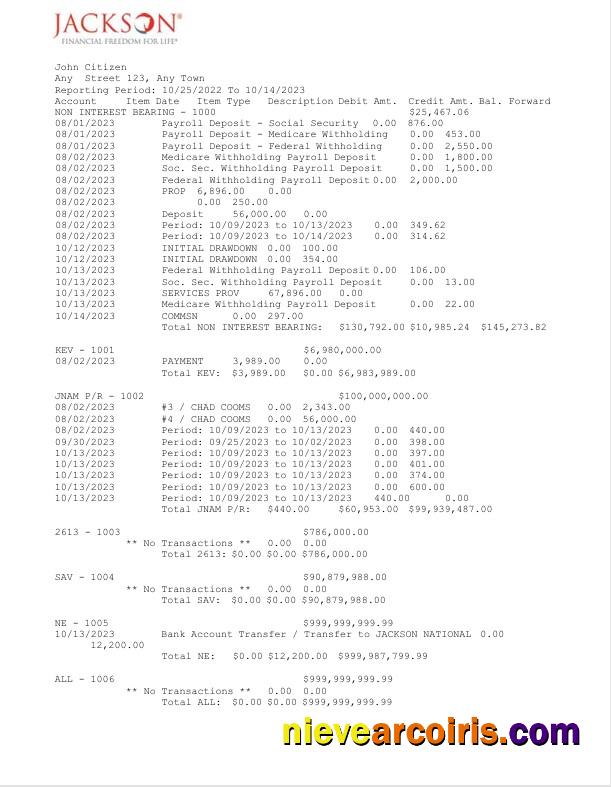 Professional USA Jackson National Bank Statement Word And PDF Template, 2 Pages