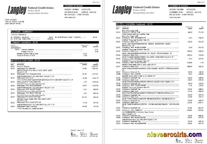 USA Langley Federal Credit Union Bank Statement, 6 Pages Template