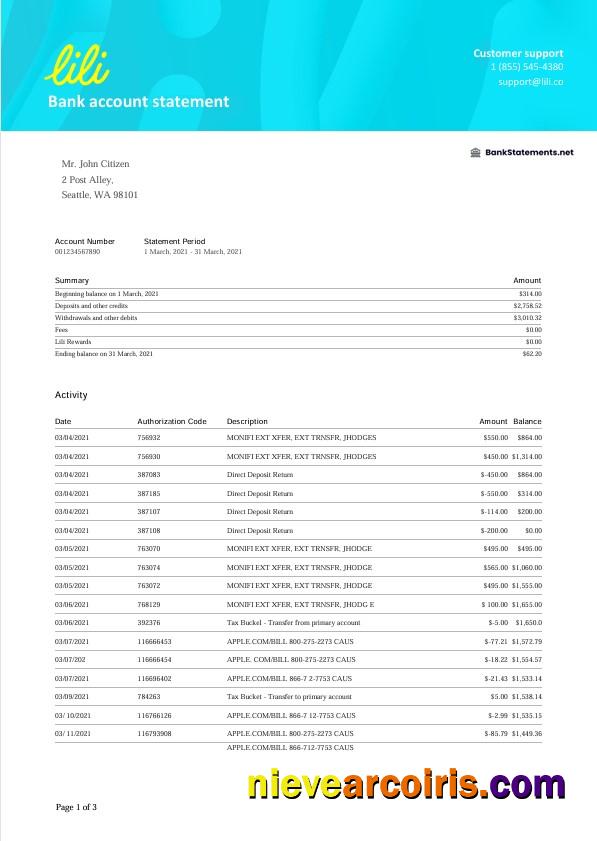 USA Lili Bank Statement Word Photolook