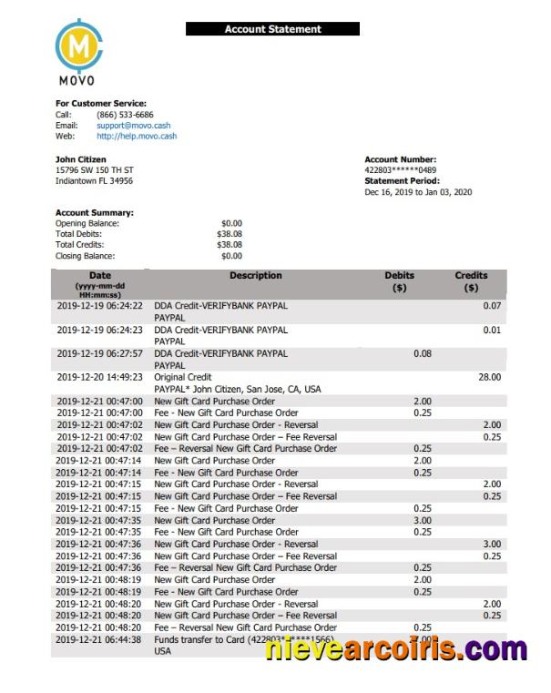 USA MOVO Bank Statement Photolook