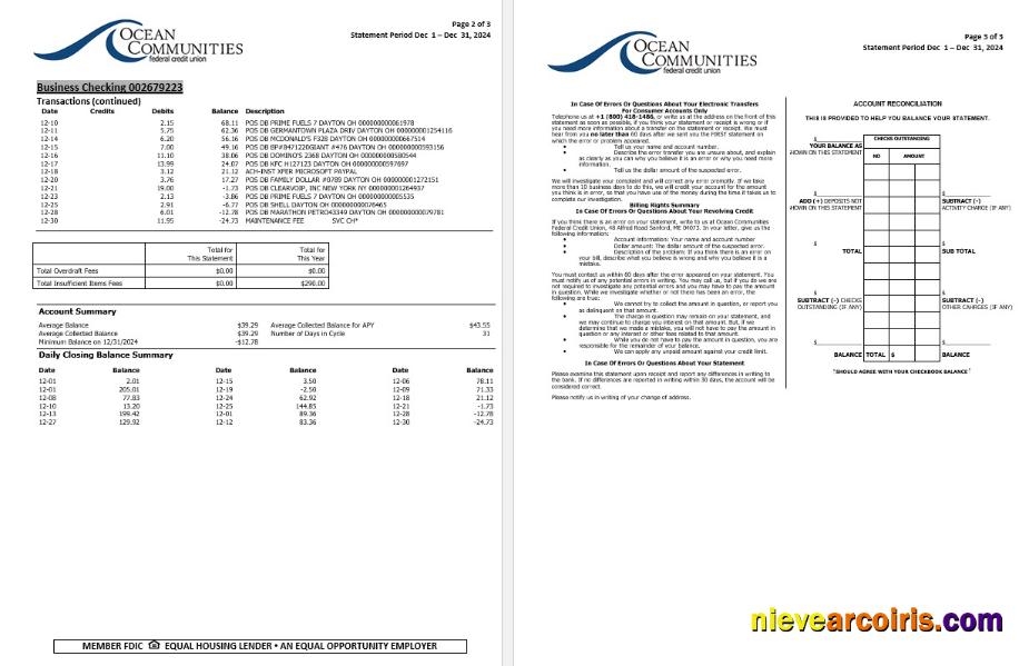 USA Maine Ocean Communities Federal Credit Union Bank Statement, 3 Pages 2 Preview