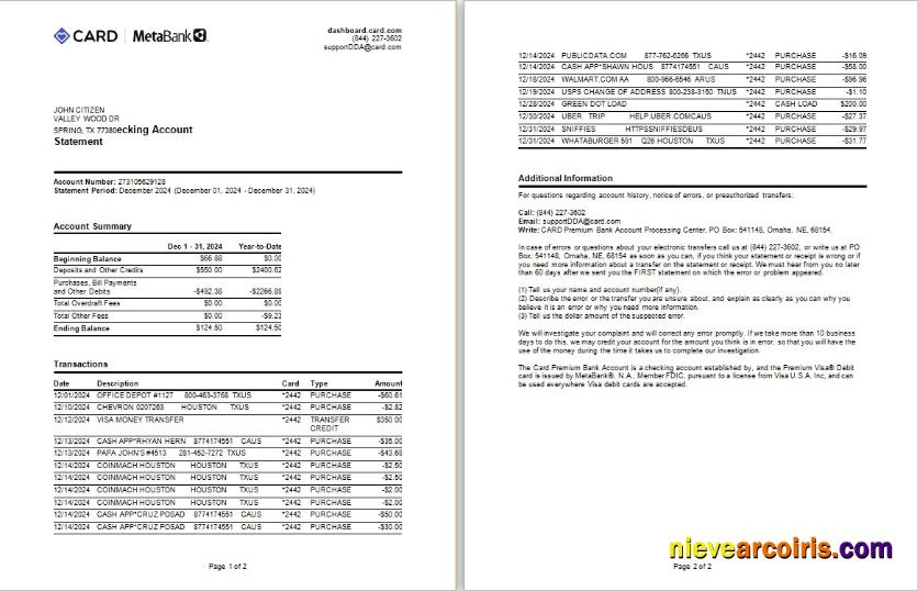 USA Meta Bank Card Statement Word And PDF Example, 2 Pages Preview