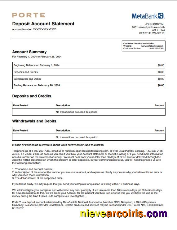 Realistic USA Meta Bank Statement Word And PDF Template