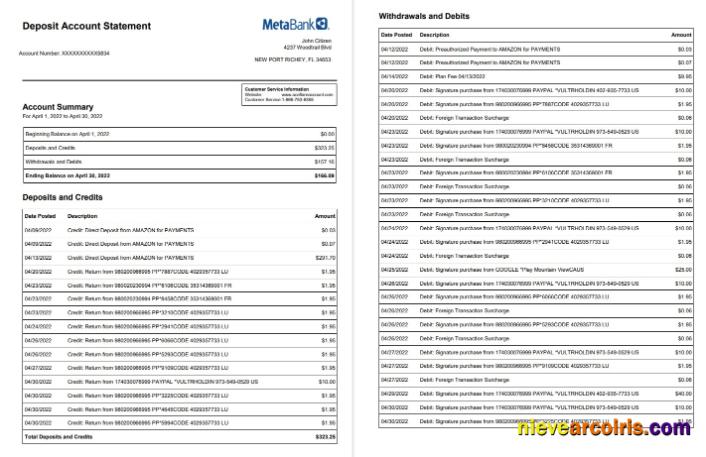 USA Metabank Deposit Account Statement 3 Pages Sample