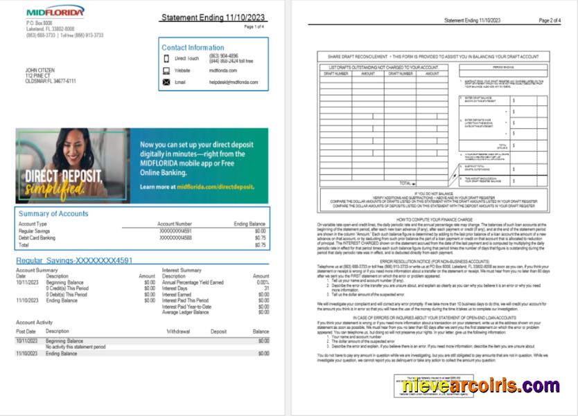 Editable USA MidFlorida Bank Statement Word And PDF Template, 3 Pages 1 2
