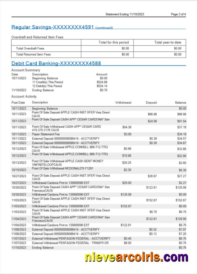 Premium USA MidFlorida Bank Statement Word And PDF Template, 3 Pages 3