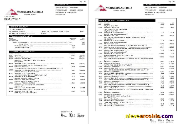 USA Mountain America Credit Union Statement 6 Pages Preview