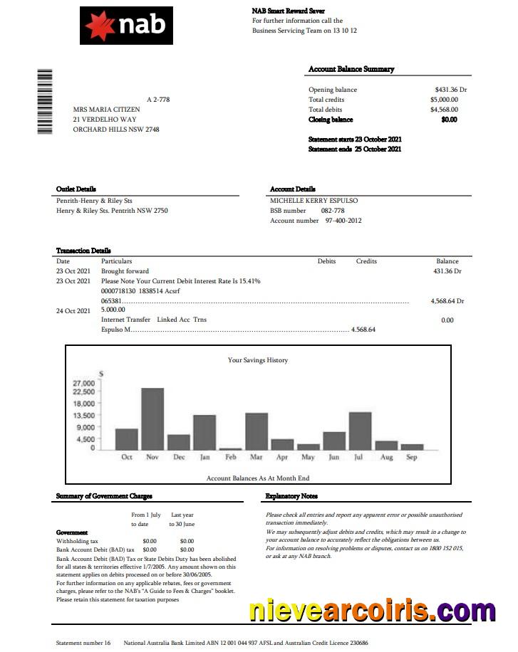 USA NAB Bank Statement Preview