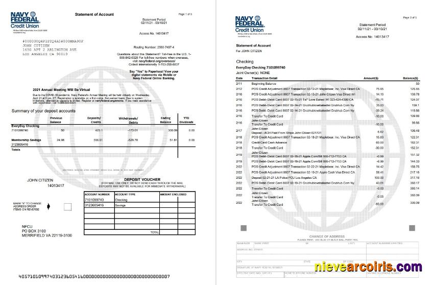 USA Navy Federal 5 Pages Excel Pdf Sample