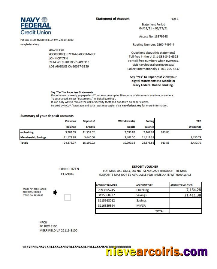 USA Navy Federal Credit Union Excel Pdf Template