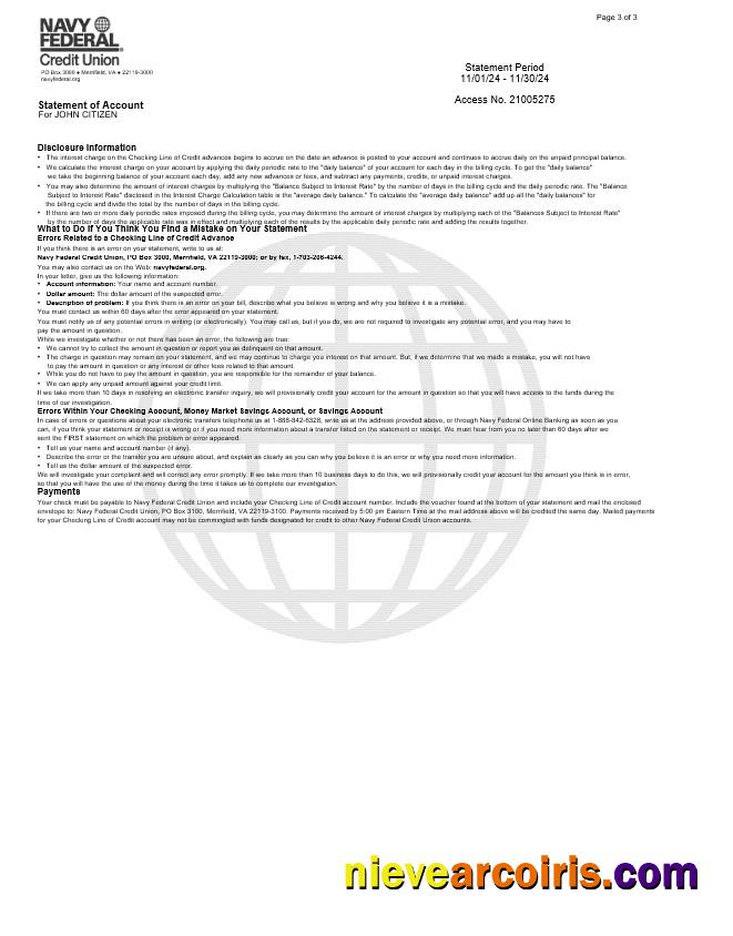 USA Navy Federal Bank Statement, 3 Pages 2 Preview