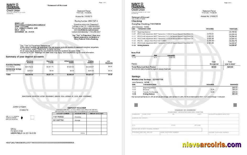 USA Navy Federal Bank Statement, 3 Pages Preview