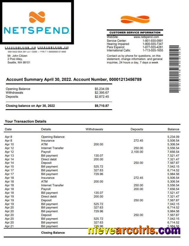 USA Netspend Bank Statement Preview