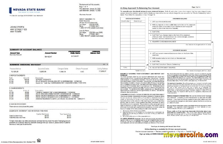 USA Nevada State Bank Business Checking St 4 Pages Sample