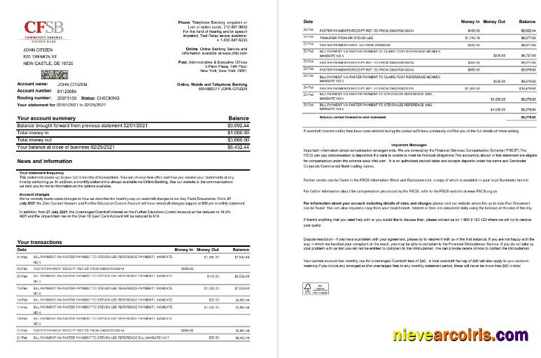 USA New York CFSB 2 Pages Excel Template