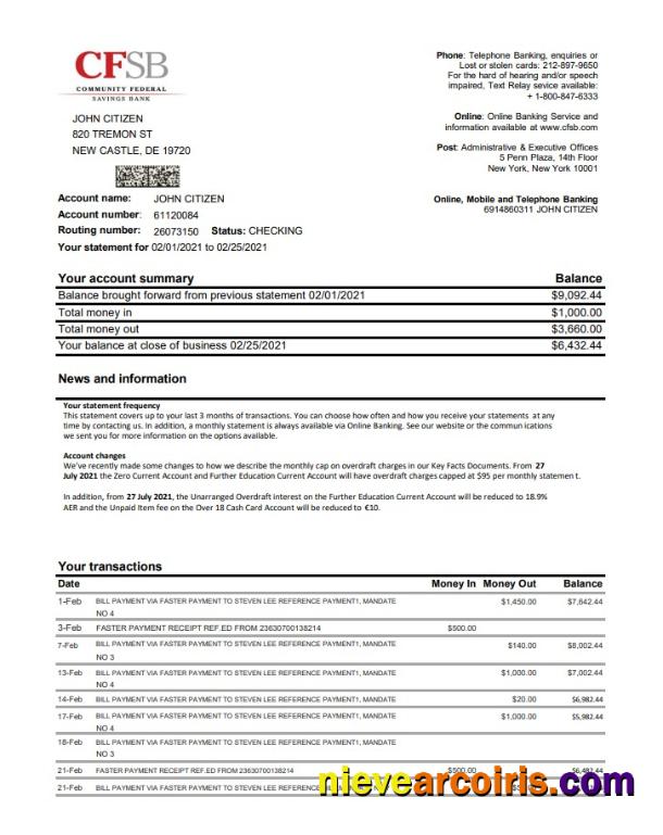 USA New York CFSB Excel Pdf Preview