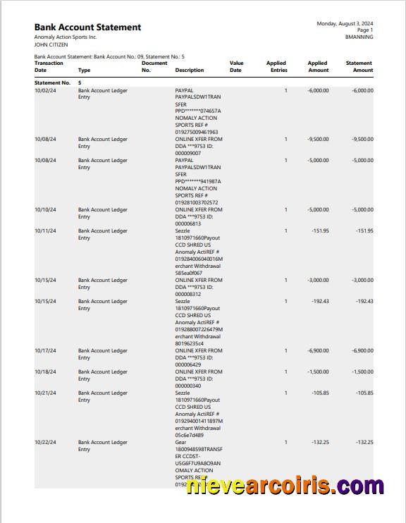 USA New York Bank Statement 3 – 6 Months Word And PDF Example Preview