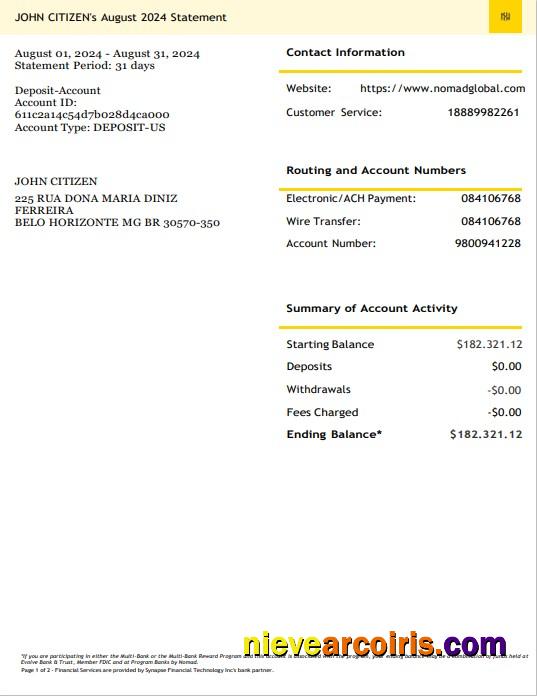USA Nomad Global Bank Statement 3 – 6 Months Word And PDF Example Photolook