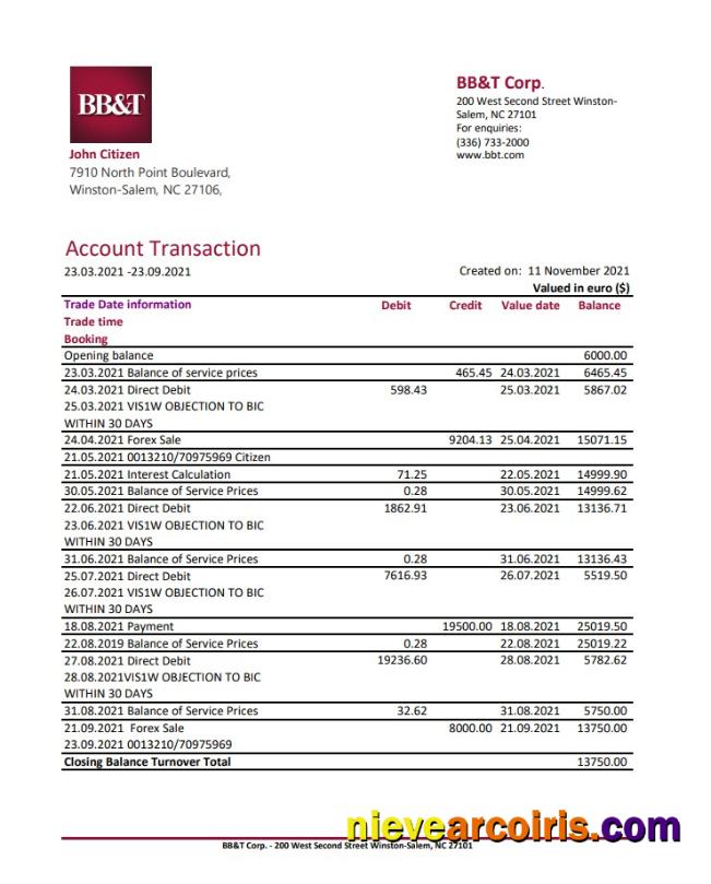 Premium USA North Carolina BB&T Corp. Bank Statement Template In Excel And PDF Format