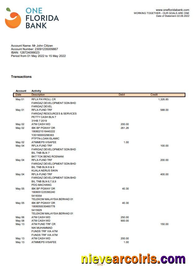 USA One Florida Bank Statement Photolook
