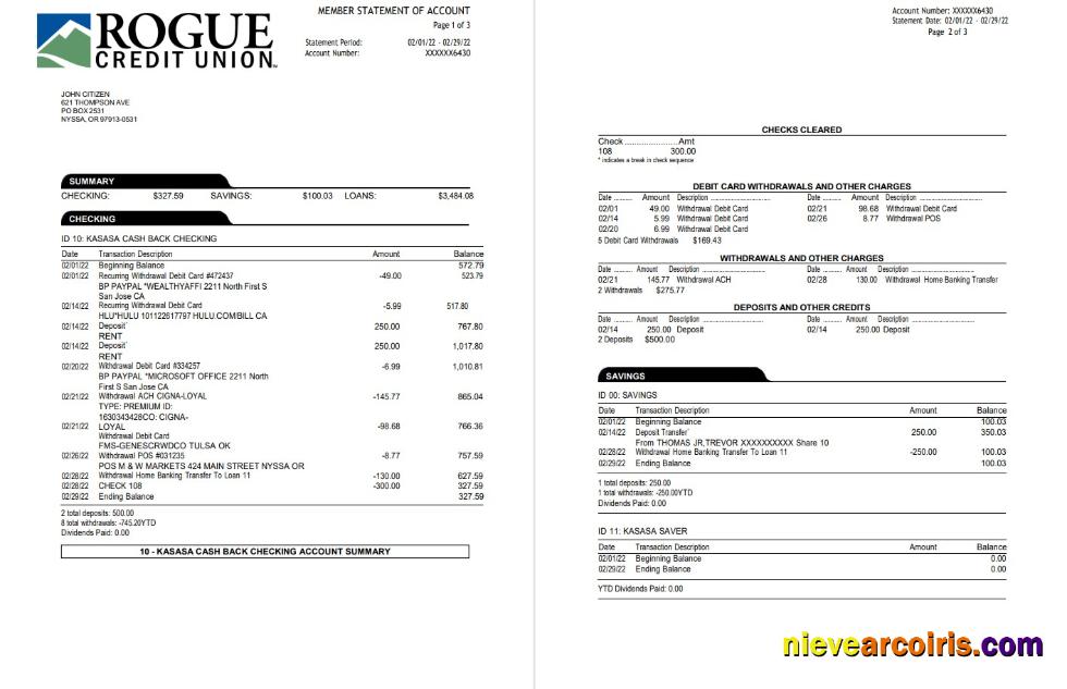 USA Oregon Rogue Bank Statement 3 Pages Template