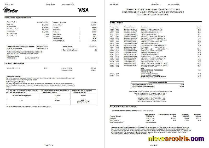 USA Pentagon Federal Credit Union (PenFed) Bank Statement 3 Pages Preview