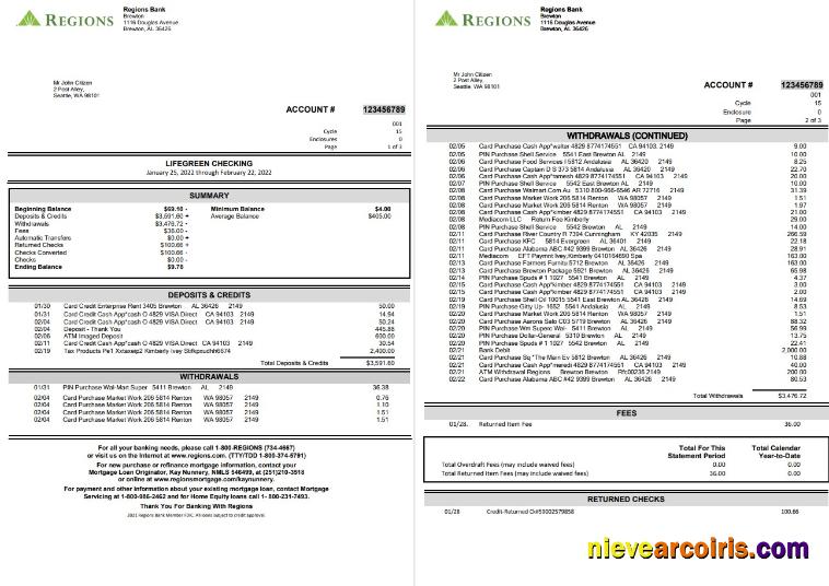 Premium USA Regions Bank Statement, Word And PDF Template, 4 Pages
