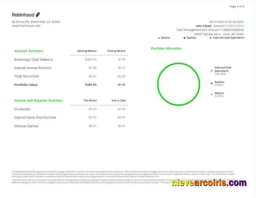 Professional USA Robihood Bank Statement Word And PDF Template Scr