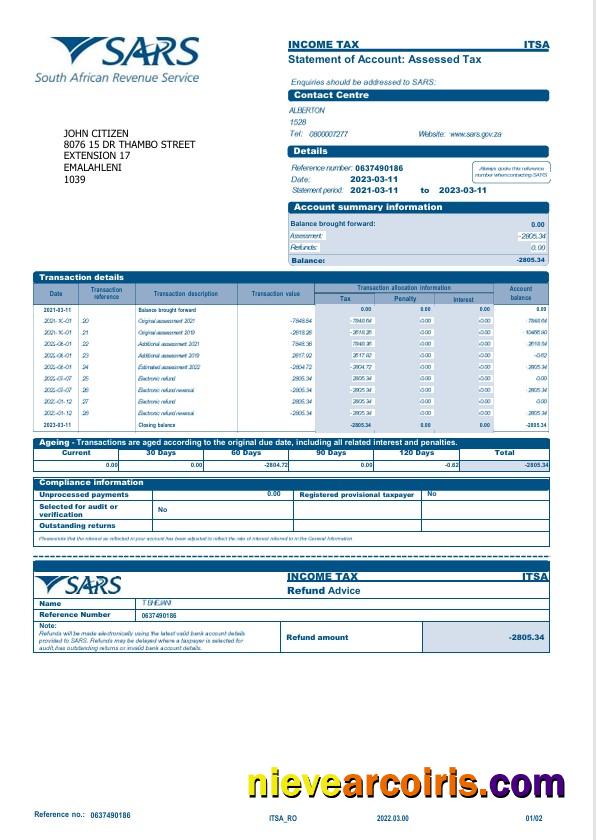 Professional USA SARS Bank Statement Word And PDF Template, 2 Pages