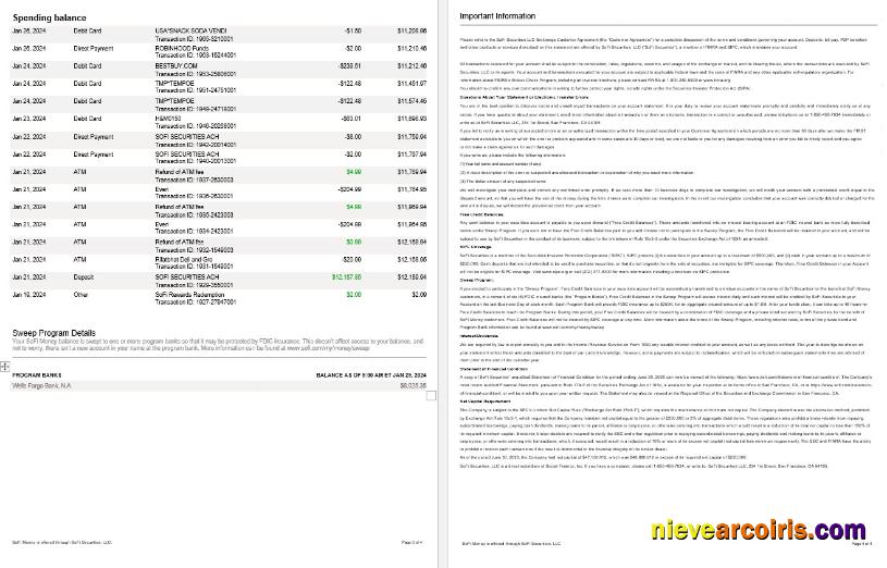USA Sofi Bank Statement, 4 Pages 2 Preview