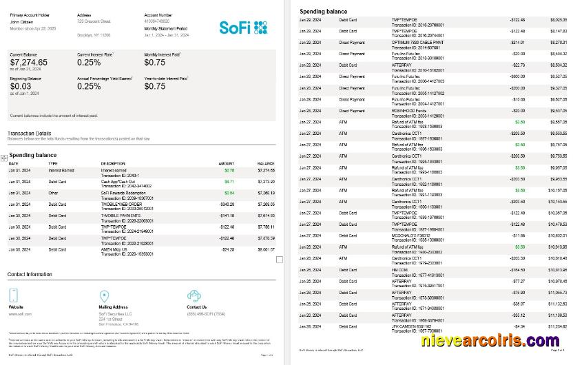 USA Sofi Bank Statement, 4 Pages Template