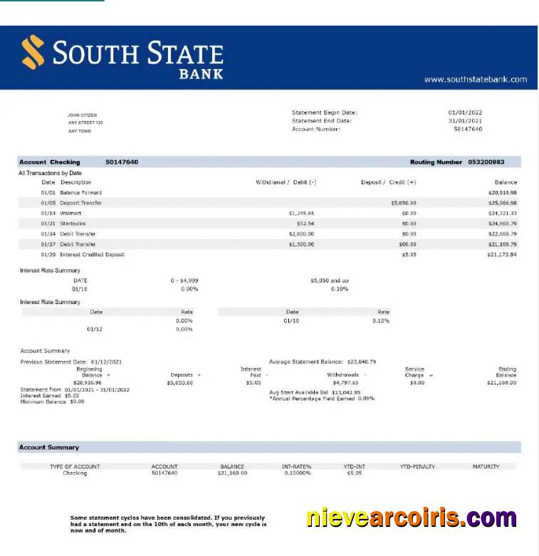 Professional USA South State Bank Statement Word And PDF Template W