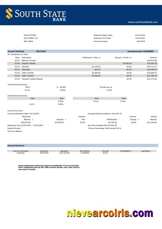 Realistic USA South State Bank Statement Word And PDF Template