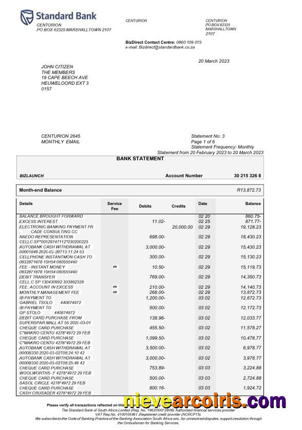 Premium USA Standard Bank Statement Word And PDF Template, 6 Pages