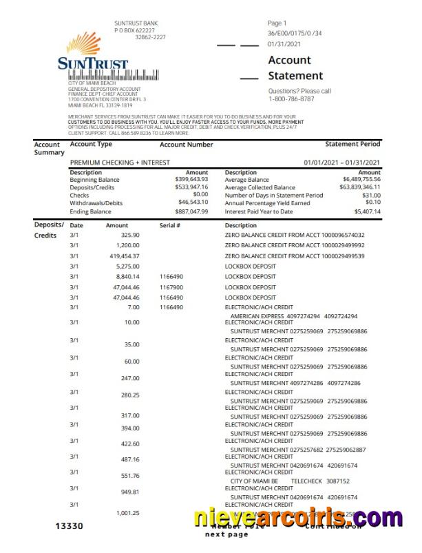 Professional USA SunTrust Bank Proof Of Address Statement Template In .xls And .pdf Format
