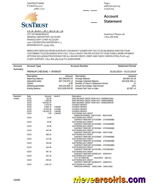 USA SunTrust Bank Statement Sample
