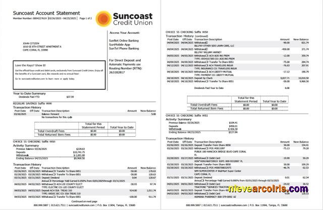 Professional USA Suncoast Bank Account Statement Word And PDF Template, 2 Pages