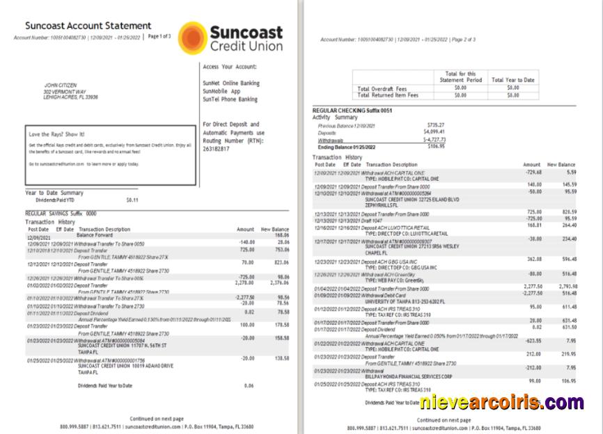 Editable USA Suncoast Bank Statement Word And PDF Template 1 2