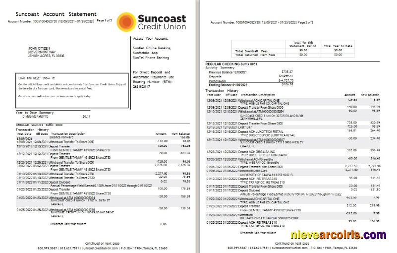 Professional USA Suncoast Bank Statement Word And PDF Template, 3 Pages