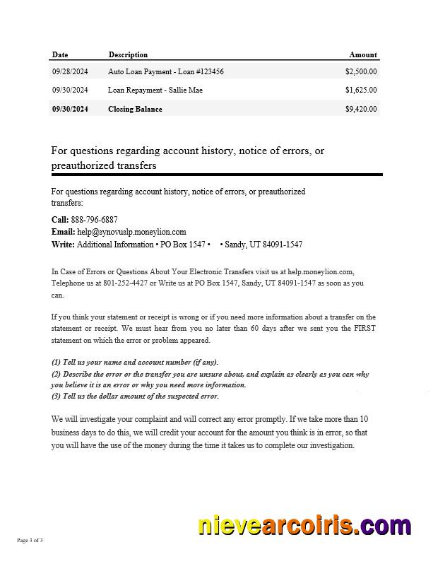 Professional USA Synovus Bank Statement Word And PDF Template, 3 Pages 2