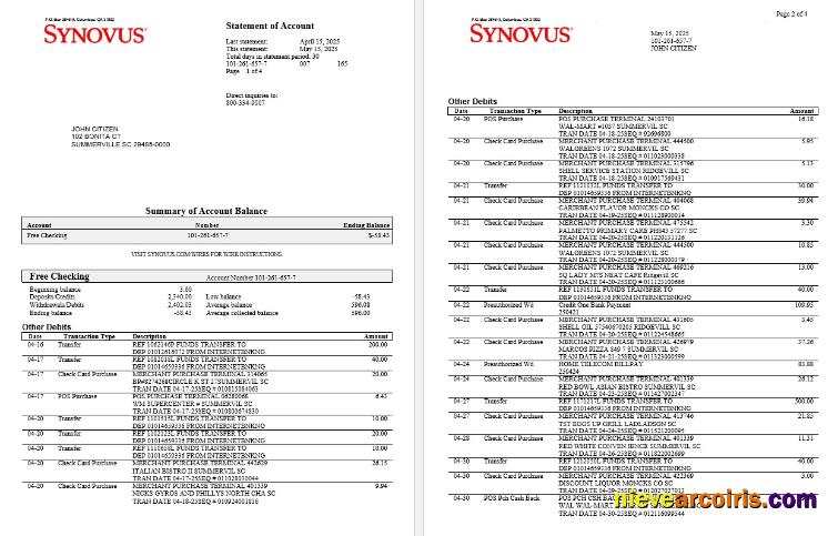 Premium USA Synovus Bank Statement Word And PDF Template, 4 Pages