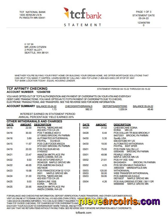 Premium USA TCF Bank Bank Statement Template In Word And PDF Format