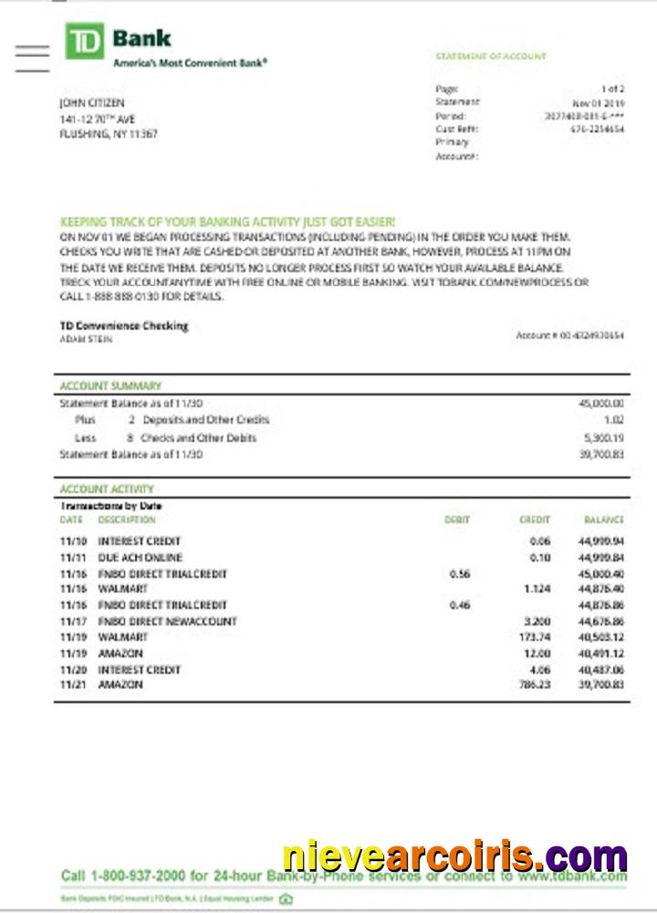 USA TD Bank Statement Template
