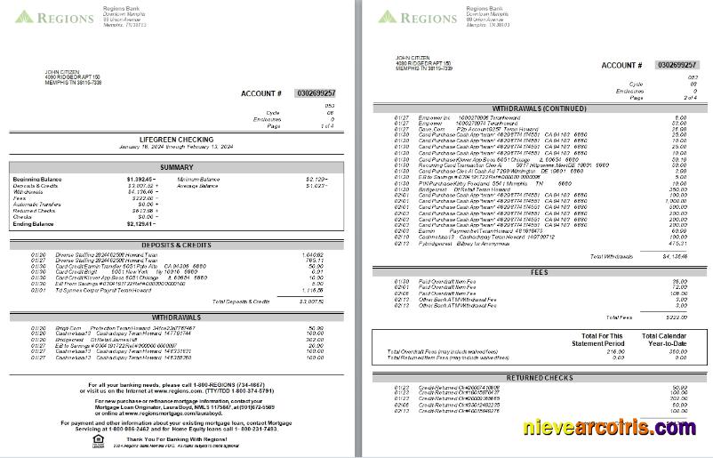 USA Tennesse Regions Bank Statement, 4 Pages, Version 2 Scr Sample