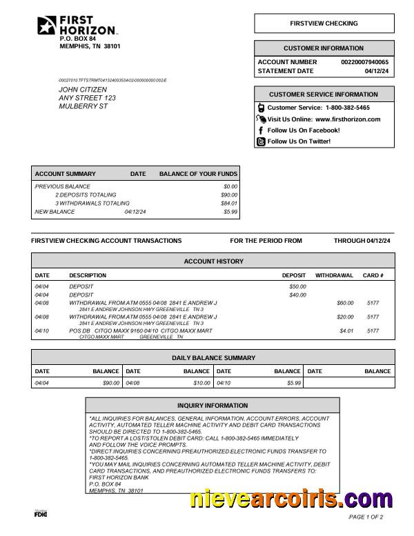 USA Tennessee First Horizon Bank Statement Preview