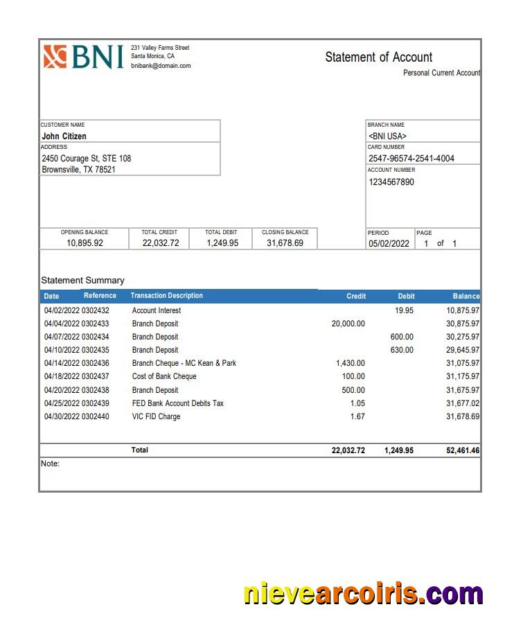 USA Texas BNI Bank Account Statement Sample