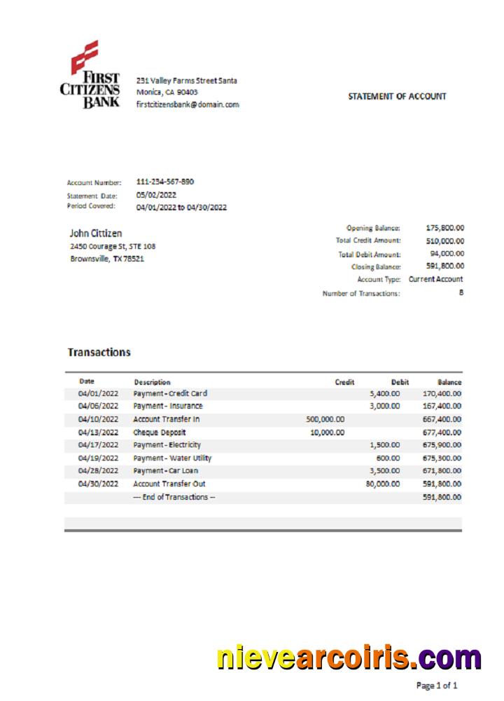 Realistic USA Texas First Citizens Bank Statement Word And PDF Template.1