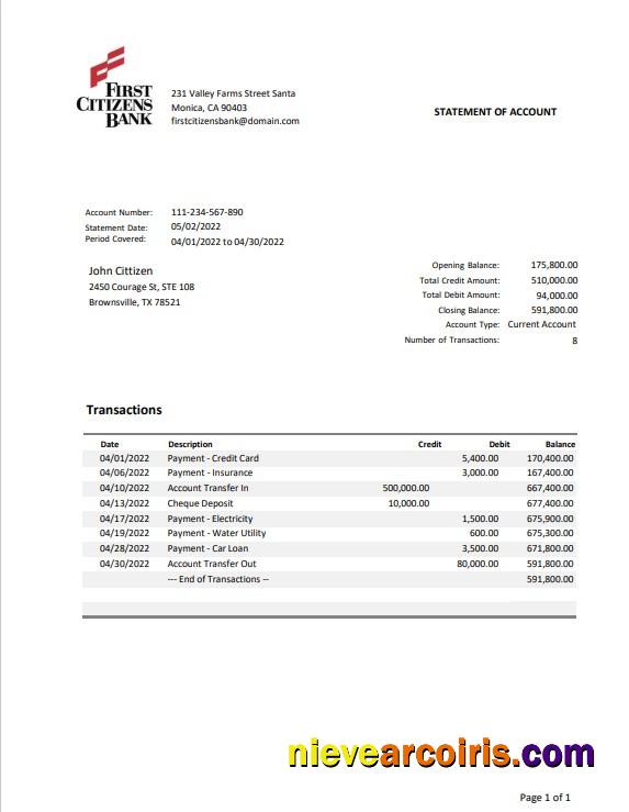 Professional USA Texas First Citizens Bank Statement Word And PDF Template