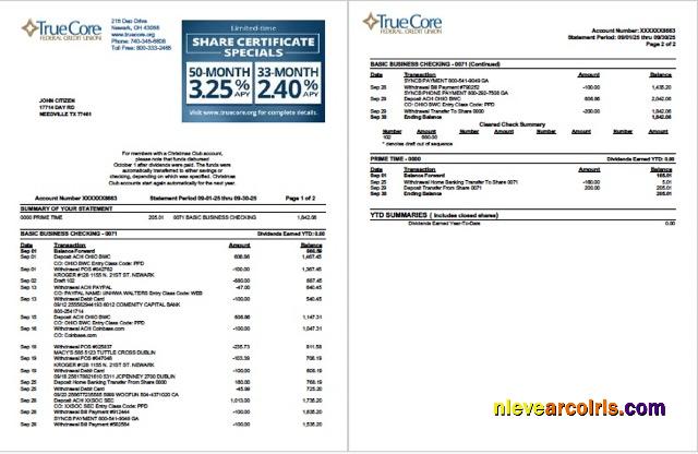 Premium USA TrueCore Federal Credit Union Account Statement Word And PDF Template, 2 Pages