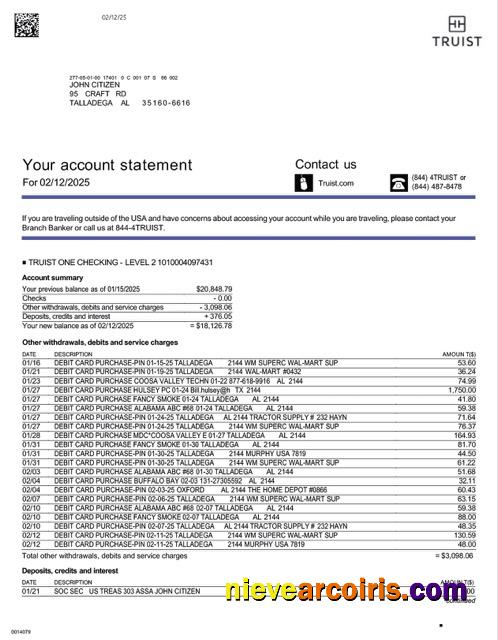 Realistic USA Truist Bank Account Statement Word And PDF Template